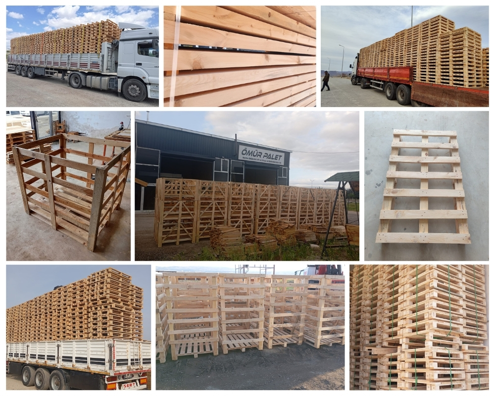 Spaubeek Houten Kisten, Europallets Groothandel Kopen